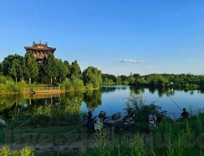 糖心app免登录下载-穿越数字壁垒，解锁糖心APP的奇妙之旅
